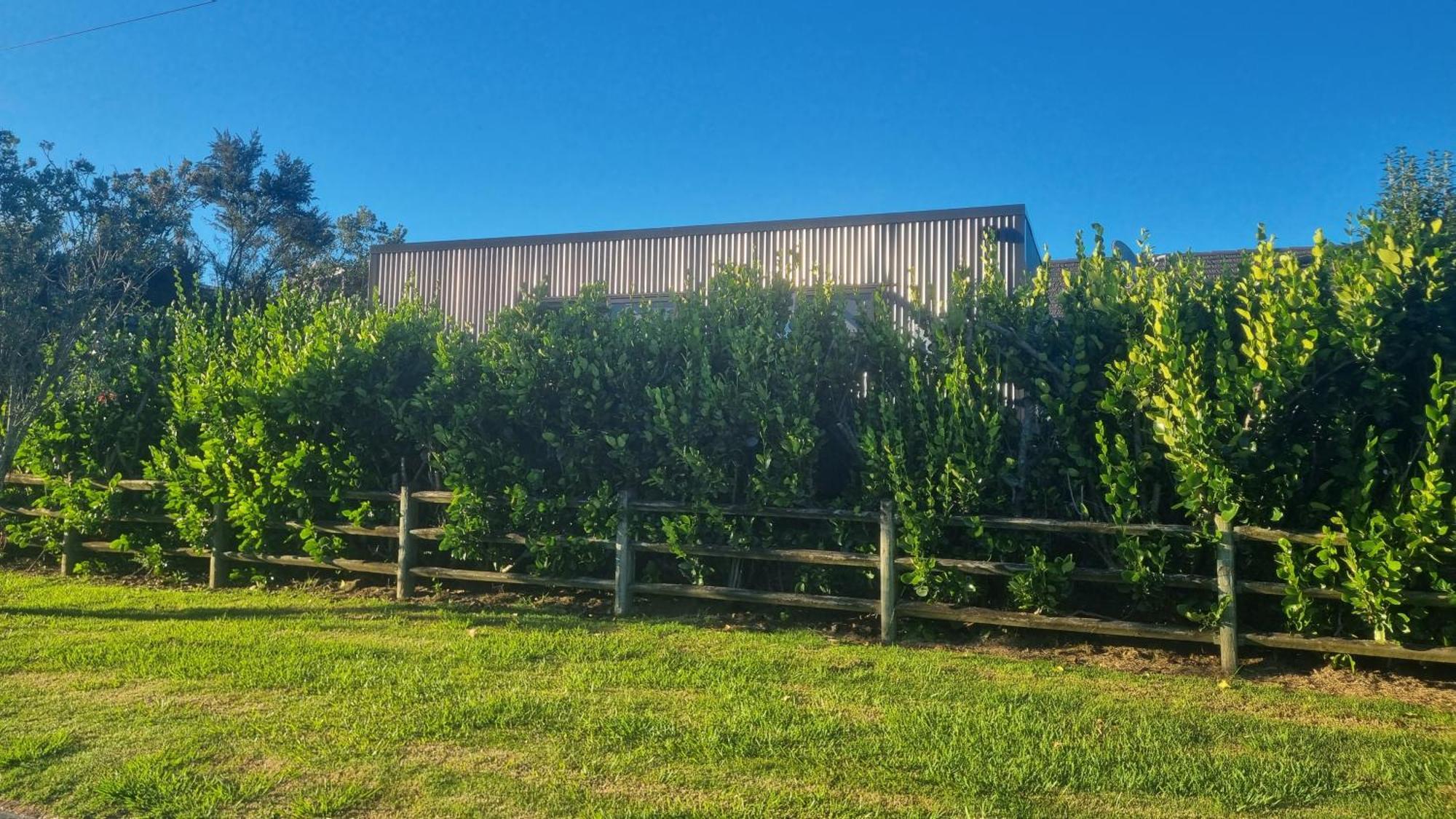 Mangawhai Room Exterior photo